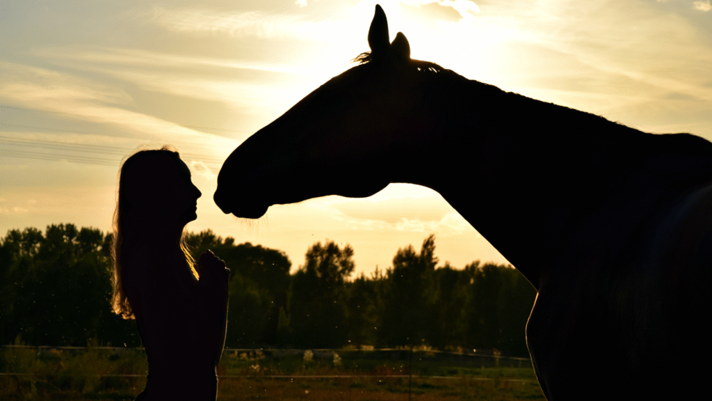 Horse pet memorial page UK tribute