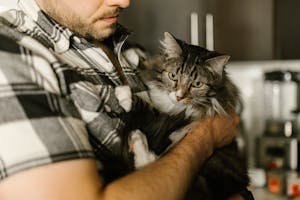 Man gently holding a fluffy tabby cat in his arms, symbolising love and remembrance.