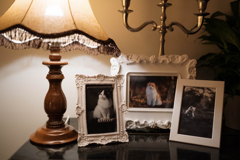 Framed photos of cats displayed on a table beside a lit lamp, creating a warm and peaceful tribute that reflects the personal touches often included in a pet remembrance page.