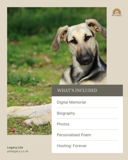 Legacy Lite pet memorial package – dog tribute with features included