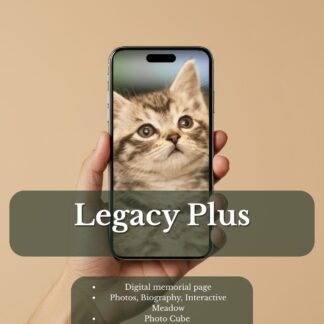 Legacy Plus pet memorial package – kitten tribute displayed on phone with included features