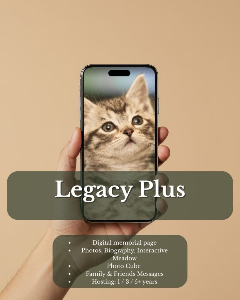 Legacy Plus pet memorial package – kitten tribute displayed on phone with included features