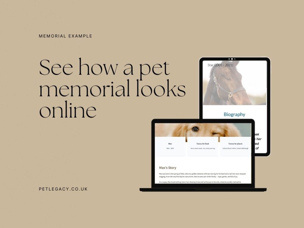 Pet memorial website example shown on two laptop screens